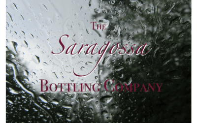 The Saragossa Bottling Company  – page 2