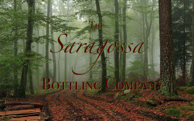 The Saragossa Bottling Company – page 18