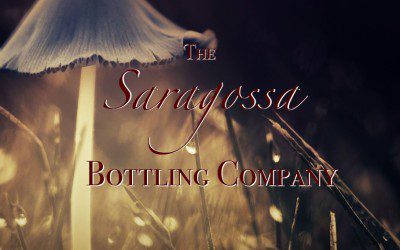 The Saragossa Bottling Company – page 22